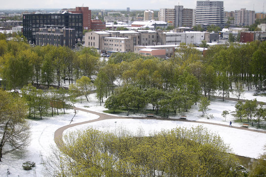 Kaunas Lithuania. Snow on May 12 morning in Kaunas.  weather lithuania, snow kaunas may spring 2020-05-12
