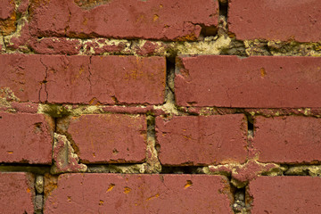 red brick wall close up