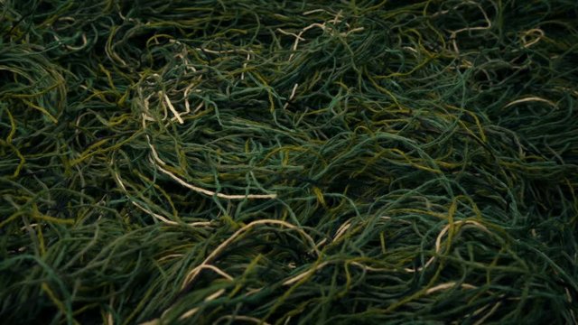 Camo Ghillie Suit Grass Texture Moving Shot