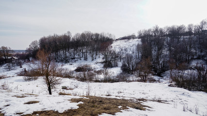 winter landscape with trees with snow 