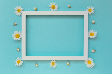 Camomile flowers with a frame on pastel background. Floral backdrop