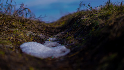 snow on grass close up in winter