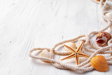 Sea shells with rope on white wooden background, copy space. Summer vacation concept