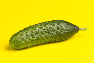 one whole cucumber isolated on yellow background