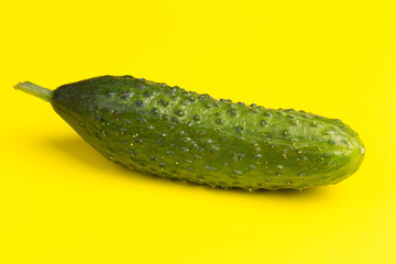 one whole cucumber isolated on yellow background