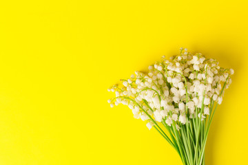 Lily of the Valley (Convallaria Majalis) isolated on yellow background