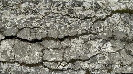Old stone texture. Moss covered surface. Ruined wall.