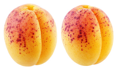 Pair of apricot fruit isolated on white background with clipping path. Full depth of field.