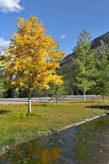 The autumn has come.