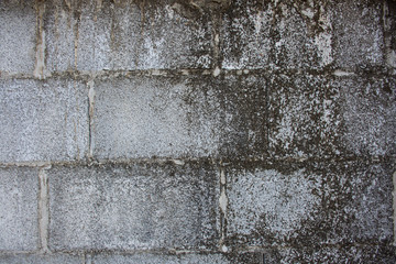 stone wall texture