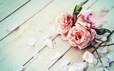 pink roses on wooden background