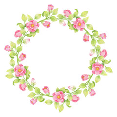 Watercolor wreath of pink flowers and green twigs, leaves isolated on white background.  Japanese camellia