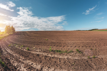 fertile agricultural fields for sowing and growing crops