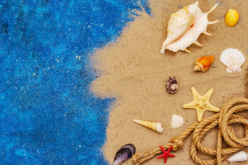 Seashells summer background. Lots of different seashells piled together, sea star