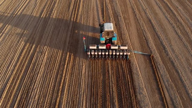 Farmer on a tractor with a precision seeding planter Shuttle plants row crops, fertilizes the soil, marks a landmark for rowness. Field work at sunset. Aerial view, the drone flies after the tractor