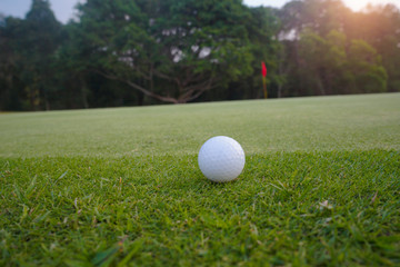 Golf ball on green in beautiful golf course at sunset background.