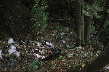 Huge pile of garbage in the forest