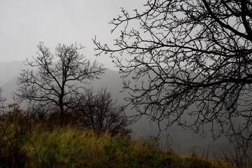 Fog in the mountains (Greece, Peloponnese).