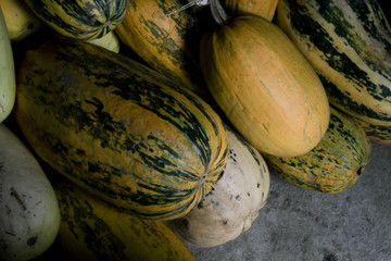 Lots of yellow pumpkins