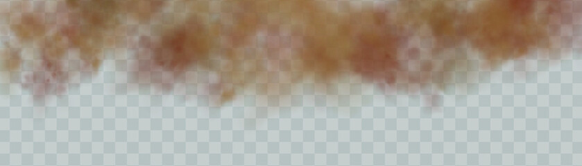 Dust cloud with particles with dirt,cigarette smoke, smog, soil and sand  particles. Realistic vector isolated on transparent background. Concept house cleaning, air pollution,big explosion.