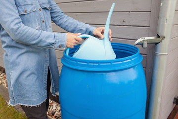Woman collecting a rain water from the barrel to
water plants, ecological garden watering  - 348933415