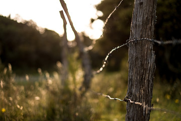 Old wire and wood fence in the countryside