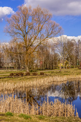 Pond in Anyksciai park
