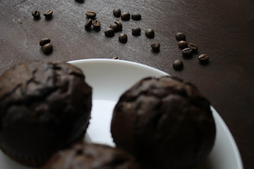 Chocolate cupcakes on a white plate