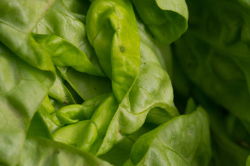 green peas background