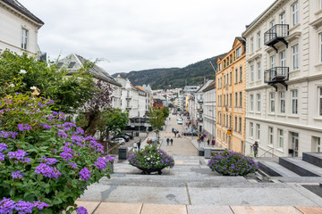 Fototapeta na wymiar Walking on streets of Bergen, Norway. Colorful autumn phlox purple small flowers on way from St. John's Church to old city. Blurred houses in background