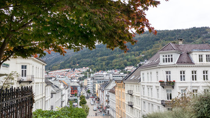 Sightseeing streets of Bergen, Norway. Big autumn tree with green and red leaves on way from St....