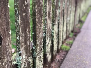 moss fence