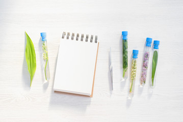Different types of plants in the test tubes on white flat lay table background with copy space. Botany concept.