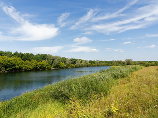 Fototapeta na wymiar Beautiful summer landscape. The Bolshoi Irgiz River, Russia. Sunny day.