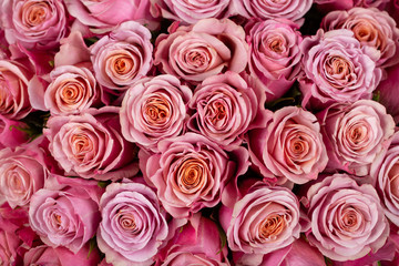 Bright background of natural pink roses. Delivery flowers.