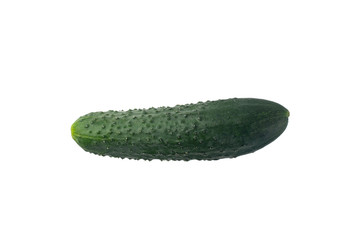 Fresh cucumber isolated on a white background.