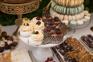delicious candy bar for special event