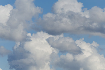 Fototapeta premium different shapes of clouds in the blue sky. cloud background.