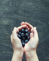 child's hands hold a handful of blueberries