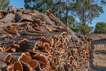 Collecting cork tree bark, stacked outdoors