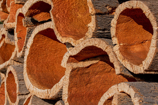 Collecting cork tree bark, stacked outdoors
