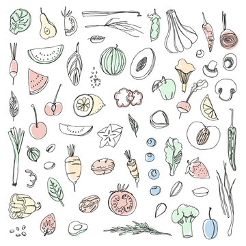 Vector set of fruit painted hands, vegetables and herbs.
