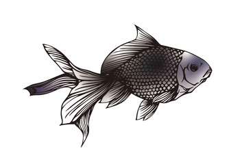 Fototapeta premium 金魚をモチーフにデザインしたカット