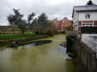 Obraz premium Pond overgrown with duckweed in snowless winter, parks on the right, idyllic old houses in the historic town of Kettwig on the left