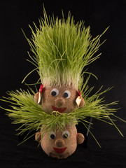Germinated wheat, a tradition of Saint Andrew’s Day. Handmade doll stuffed with wood shavings