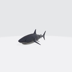Fototapeta premium 3d illustration of shark. 3d model of fish with open mouth.