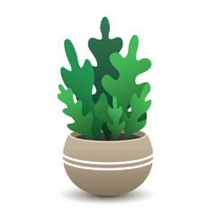 Vector isolated house green plant in a beige pot.