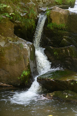 Fototapeta na wymiar 初夏の渓流と滝 