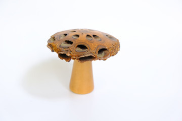 Figure of a ceramic mushroom on the white background