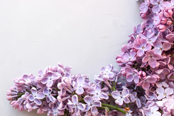 Lilac twigs on the background